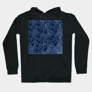 Night garden velvet Hoodie